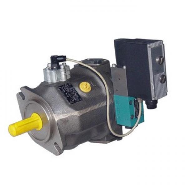 High Quality Rexroth Hydraulic Piston Pump A2fo Series #1 image