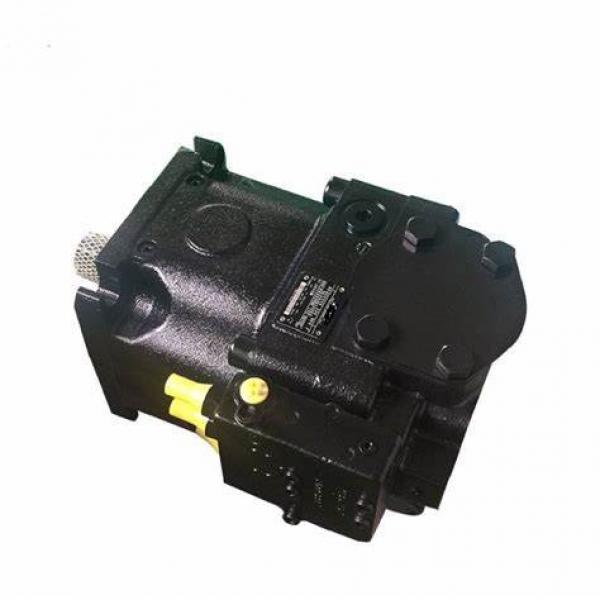 Rexroth Replacement Hydraulic Pump A10vo/A2fo/A2f/A4vtg/A4vso/A6V/A7vo/A8vo/A11vo/A11vlo #1 image