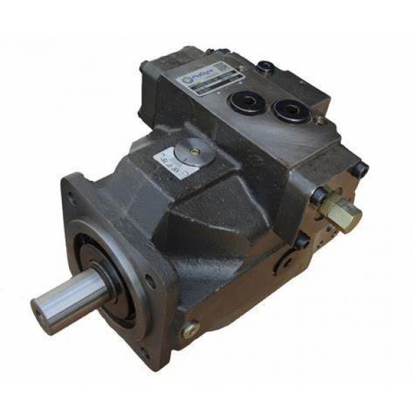 Parker Series Hydraulic Gear Pump #1 image