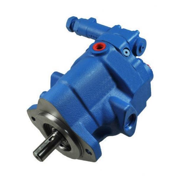 Replacement Hydraulic Piston Pump Complete Pump Vickers Pve19, Pve21 #1 image