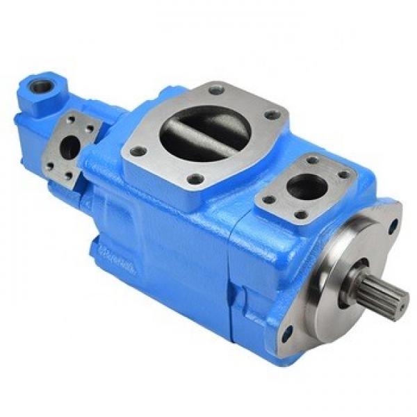 Denison High Pressure Hydraulic Pump and Cartridge Kits #1 image