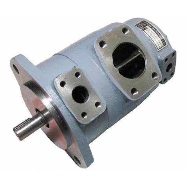 Commercial/Parker P30 /31 /50 /51 /75 /76 Gear pump #1 image