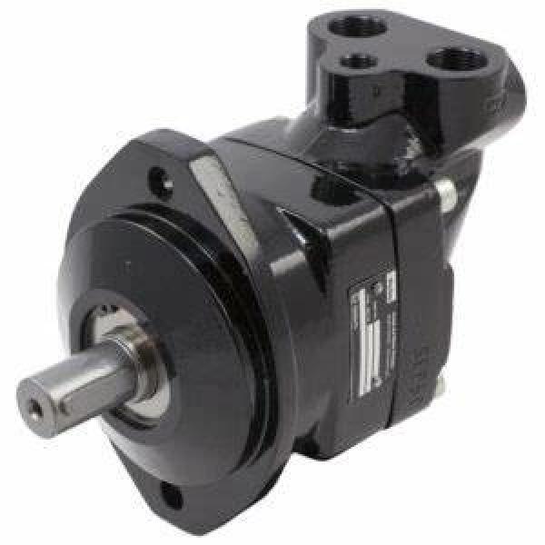 Rexroth AZPFF series hydraulic double gear pump AZPFFF-11-019/019/008RRR202020KB #1 image